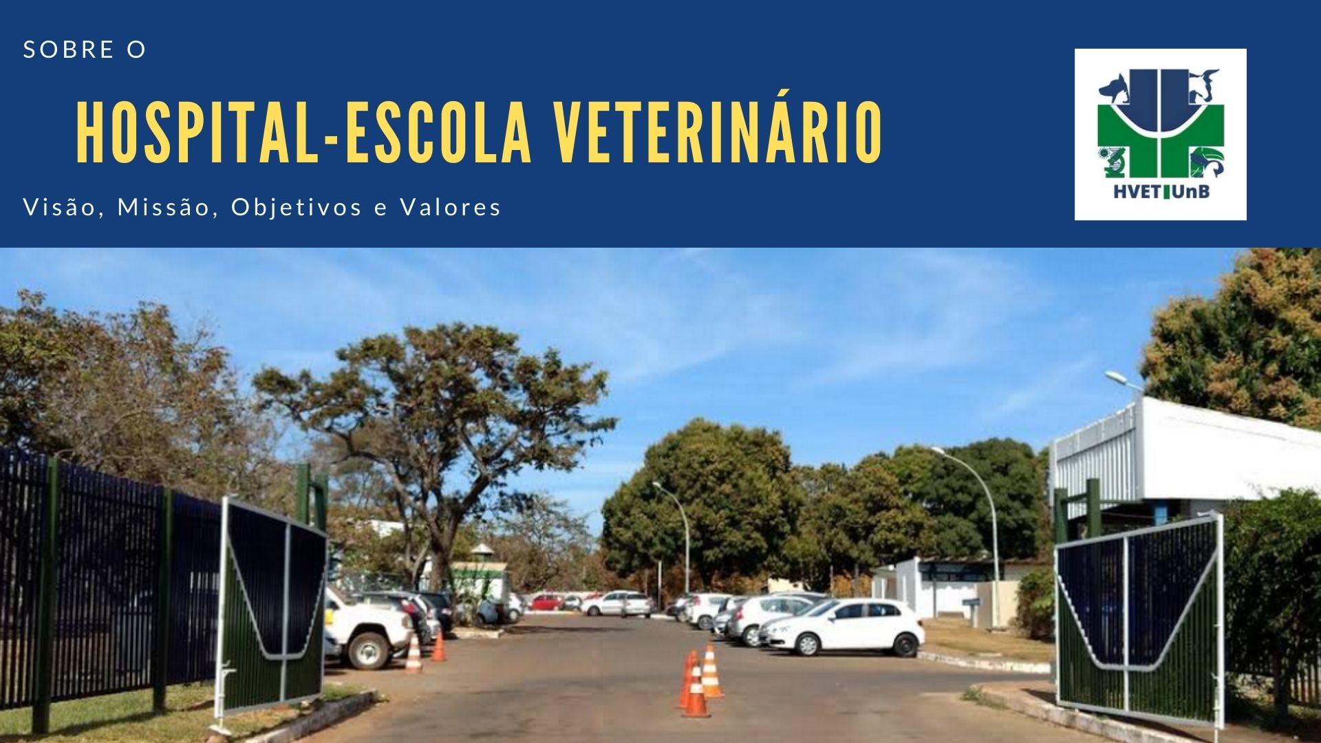 Clínica Veterinária Perto de Mim Taguatinga - Clínica Veterinária